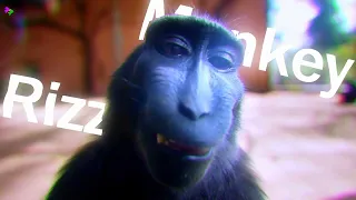 Rizz Monkey🐒 [4K EDIT] -The lost down X Lost Soul