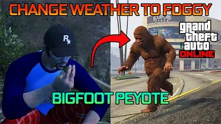 How to EASILY turn into BIGFOOT in GTA ONLINE | Change weather to anything (FOGGY) | Peyote Plants