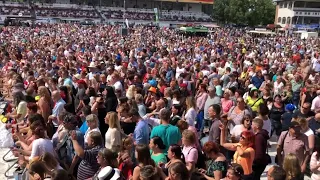 Schlagerhammer in Hoppegarten