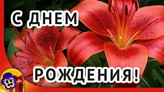 Красивое поздравление с днем рождения женщине 🌼 Музыкальное видео поздравление