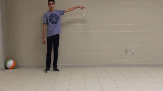 Animation Reference Footage Rubber Ball Drop at 24 fps