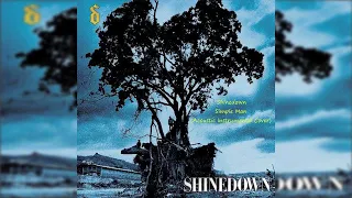 Shinedown - Simple Man 432hz