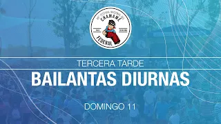 BAILANTAS DIURNAS - DOMINGO 11 - 49° FESTIVAL NACIONAL DEL CHAMAMÉ