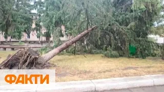 В Днепре дерево упало на остановку, на Николаевщине срывало крыши: непогода в Украине