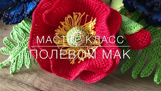 😍 мастер класс 😍 полевой 🌺 мак тунисское вязание Crochet flower pattern