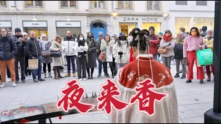 當古箏遇上《夜來香》？那南風吹來清涼Chinese Musical Instruments Guzheng Cover| 碰碰彭碰彭Jingxuan