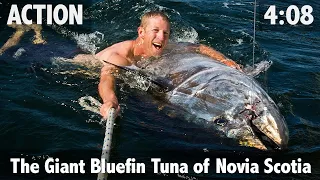 The Giant Bluefin Tuna of Novia Scotia