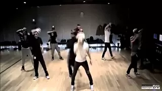 BigBang - Fantastic Baby (dance practice) mirrorDV