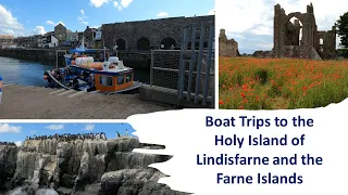 Northumberland: 2. Boat Trips to Holy Island of Lindisfarne and Farne Islands