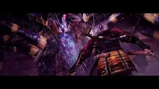 Nioh Complete Edition японское порево на максималках