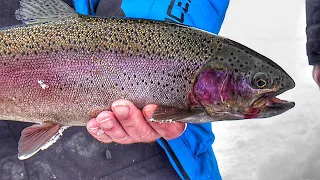 Ice Fishing Rainbow Trout | Montana