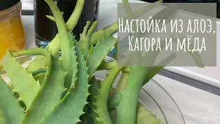 Как поднять иммунитет и убрать кашель? | Настойка из алоэ, мёда и кагора