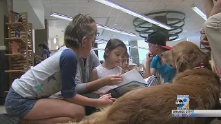 Therapy Dogs at the Library Encourage Reading