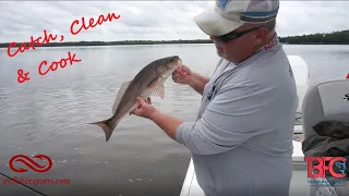 Tampa Bay Insane Inshore Bite Snook, reds and trout along with Grouper, Snapper.