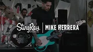 Ernie Ball Music Man: Stingray Special Bass - Mike Herrera Demo & Discussion