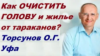 Как ОЧИСТИТЬ ГОЛОВУ и жилье от тараканов? Торсунов О.Г. Уфа