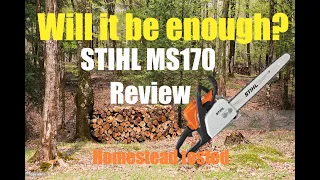 Stihl MS170 review. will it homestead?