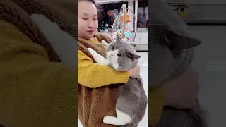 OMG So Cute Cats ♥️ Best Funny Cat Videos 2023# 18