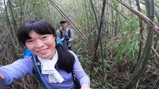 台北天際線第九段-溪南尖山⛰️主公山⛰️王公坑山⛰️￼連走2021/11/27