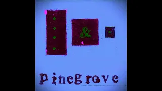 Pinegrove - Need 2 (Slowed + Reverb)