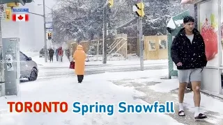 Last Taste of Winter❄️ Toronto Snowfall Cover Streets of Toronto Canada | 4K🇨🇦 Snow Walk