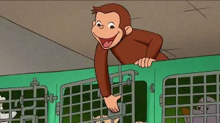 George libera Hundley 🐵 Curioso Come George 🐵 Cartoni per Bambini