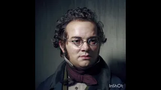 Franz Schubert-Serenade