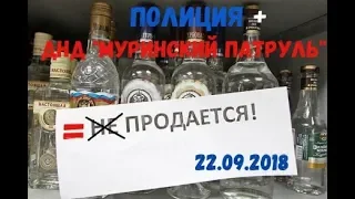 ДНД "Муринский патруль". Рейд по заявлению о нелегальной торговле алкоголем.