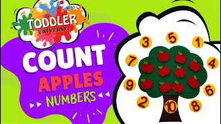 Learn Numbers and Counting | Video for Toddler Learning to Count Numbers 1-10 | Fun Education Video