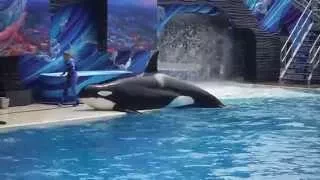 One Ocean (Full Show/Full HD) SeaWorld San Diego - May 23, 2014