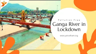 Ganga River clean in Lockdown | Har Ki Pauri Haridwar | Pollution Free
