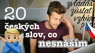 20 ČESKÝCH SLOV, CO NESNÁŠÍM