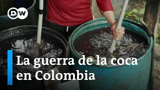 La sobreproducción impide a muchos campesinos vender la coca que cultivan