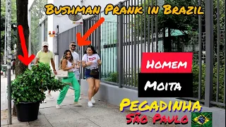 Bushman Prank in Brazil | Pegadinha do Homem Moita