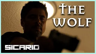 The Wolf of Juarez | Alejandro Character Analysis (Sicario)