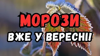 НЕ МОЖЕ БУТИ! Перші заморозки та посуха: синоптик дав невтішний прогноз на вересень в Україні