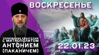 Толкование Евангелия с митр. Антонием (Паканичем). Воскресенье, 22 января 2023 года