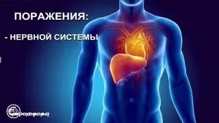 Содержится ли свинец в пластиковых окнах?