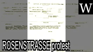 ROSENSTRASSE protest - WikiVidi Documentary