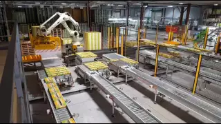 Full Layer Palletizing (trays)  - ICON Robotics