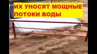 Их смывает с лица Земли. Мощные потоки воды уносят все на пути. Наводнение. Рио-де-Жанейро, Бразилия