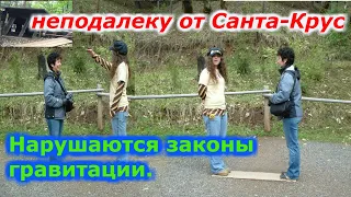 В Санта-Крусе есть поляна где нарушаются законы гравитации!!!+ новая рубрика