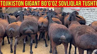 ☎️33-733-43-43 SIZ IZLAGAN TOJIKISTON GIGANT BO'G'OZ SOVLIQLARI VELIKANLARIDAN