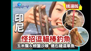 【印尼】玉米鬚+螃蟹沙嗲逗貓棒 爪哇漁人釣章魚絕技（海灘挖螃蟹／礁石邊逗章魚／品嚐章魚肉丸）｜《世界第一等》480集精華版