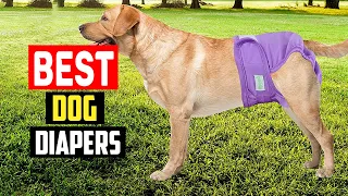 ✅ Top 5 Best Dog Diapers for Your Canine Friend in 2023
