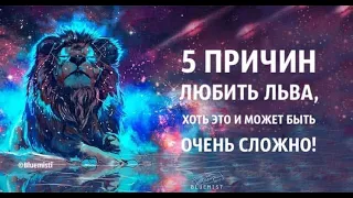 5 причин любить Льва, хоть это и может быть очень сложно