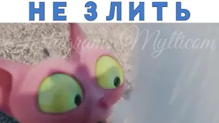 Лучшие кувисы за 1 Марта 2019 5 место