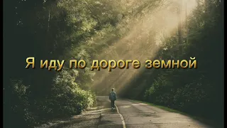 Я иду по дороге земной