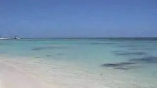 Tortuga Bay at the Punta Cana Resort