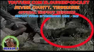 Bigfoot Encounters from the Volunteer State TN - SLP526